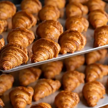 Rows of golden-brown, freshly baked croissants arranged on metal baking sheets