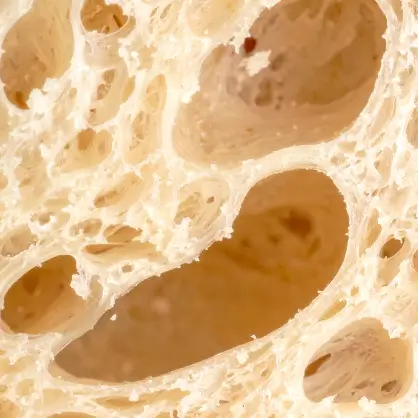 A macro, close-up shot of the interior crumb of a slice of bread, showing its porous, web-like texture with irregular air holes