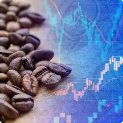 Coffee beans and trade diagram