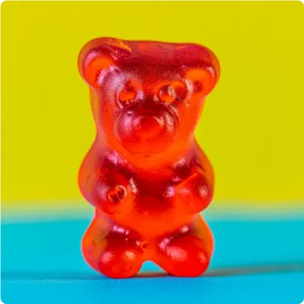 Singular red gummy bear closeup