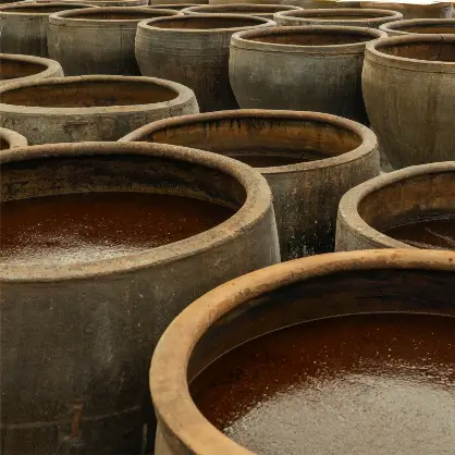 Rows of large, traditional earthenware vats filled with soy sauce