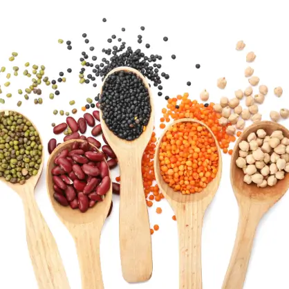Five wooden spoons pointing upwards, each filled with different colorful legumes, beans, and lentils against a white background
