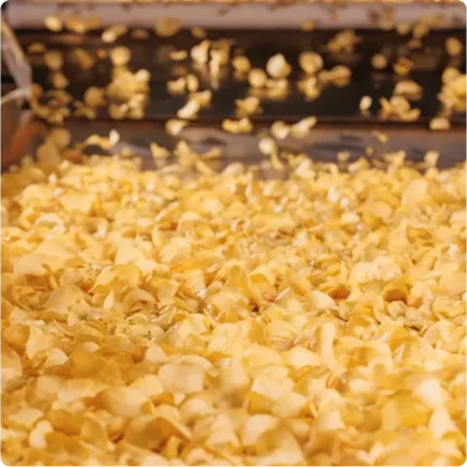 Popcorn chips on a conveyer belt being baked