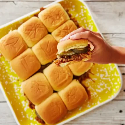 Pulled pork sandwich closeup