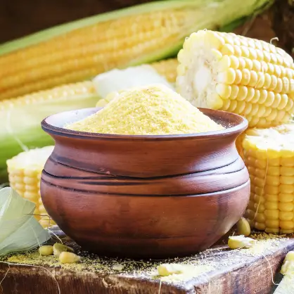 A wooden bowl filled with yellow cornmeal surrounded by fresh ears of corn