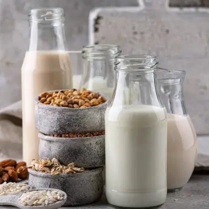 Glass bottles and pitchers of plant-based milk surrounded by small bowls of almonds, oats, and rice on a rustic surface