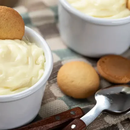 Vanilla wafers and ice cream closeup