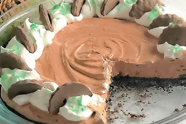 Mint Chocolate Pudding Pie
