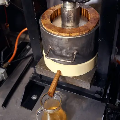 A traditional mechanical oil press with wooden and metal components squeezing golden oil into a glass pitcher below