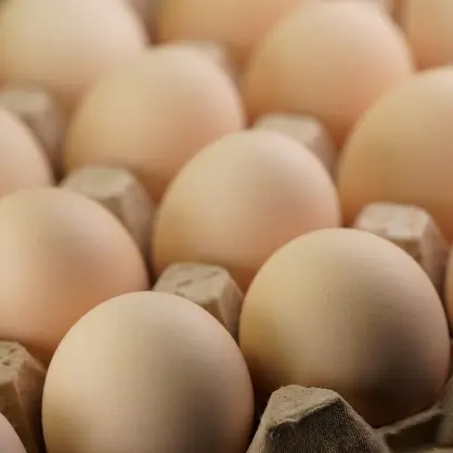 A macro view of dozens of brown chicken eggs packed closely together in a large cardboard egg carton